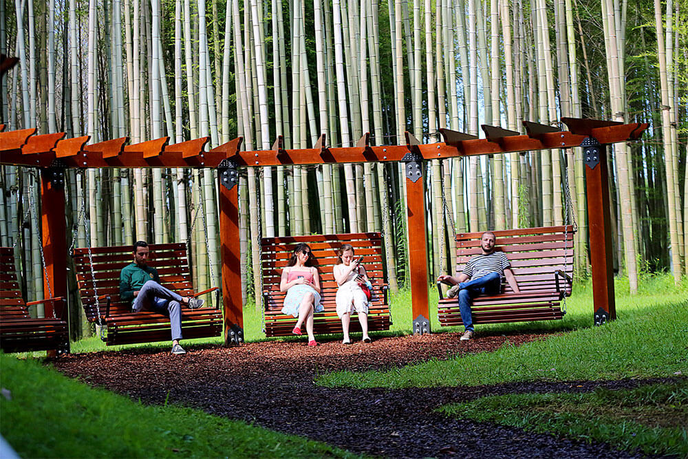 Dendrological Park Tour in Shekvetili